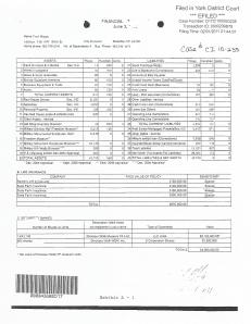 FinancialStatementExhibitA-1