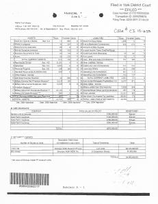 P-51 financial statement